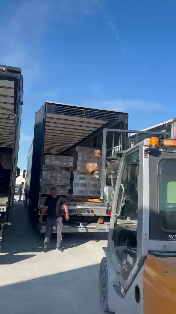 Team Schena Trasporti durante le operazioni di facchinaggio